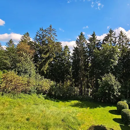 6 Pers Aan Skilift Grootste Skigebied Nabij Bikepark Unieke Locatie Met Zeer Rustige Tuin In Het Bos En Het Gezellige Centrum Leuke Cafes Restaurants En Gratis Zwembad Sauna Relax Speelruimte Parkeerplaats Naast Der Brabander * Winterberg