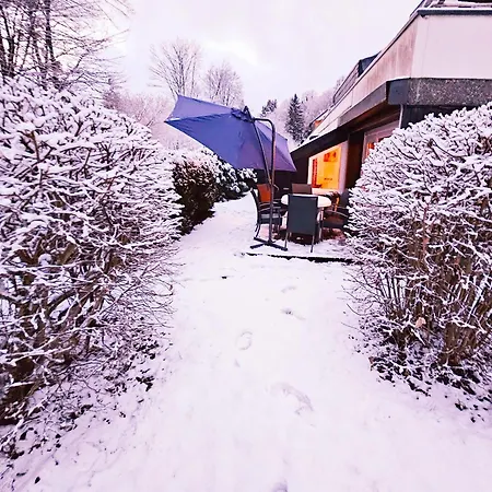 Lejlighed 6 Pers Aan Skilift Grootste Skigebied Nabij Bikepark Unieke Locatie Met Zeer Rustige Tuin In Het Bos En Het Gezellige Centrum Leuke Cafes Restaurants En Gratis Zwembad Sauna Relax Speelruimte Parkeerplaats Naast Der Brabander