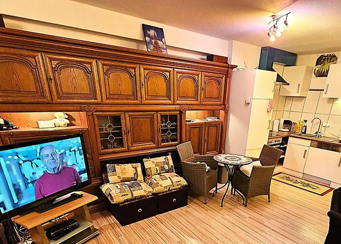 Lejlighed 6 Pers Aan Skilift Grootste Skigebied Nabij Bikepark Unieke Locatie Met Zeer Rustige Tuin In Het Bos En Het Gezellige Centrum Leuke Cafes Restaurants En Gratis Zwembad Sauna Relax Speelruimte Parkeerplaats Naast Der Brabander