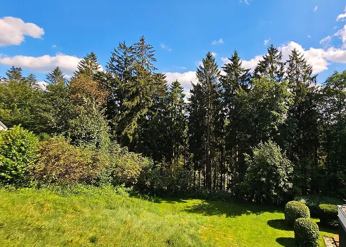 6 Pers Aan Skilift Grootste Skigebied Nabij Bikepark Unieke Locatie Met Zeer Rustige Tuin In Het Bos En Het Gezellige Centrum Leuke Cafes Restaurants En Gratis Zwembad Sauna Relax Speelruimte Parkeerplaats Naast Der Brabander * Winterberg