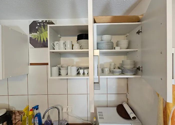 Apartament 6 Pers Aan Skilift Grootste Skigebied Nabij Bikepark Unieke Locatie Met Zeer Rustige Tuin In Het Bos En Het Gezellige Centrum Leuke Cafes Restaurants En Gratis Zwembad Sauna Relax Speelruimte Parkeerplaats Naast Der Brabander *