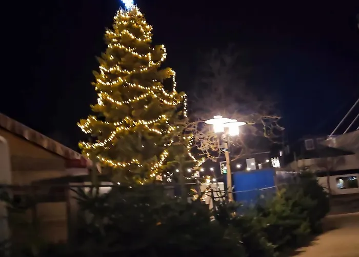 Lejlighed 6 Pers Aan Skilift Grootste Skigebied Nabij Bikepark Unieke Locatie Met Zeer Rustige Tuin In Het Bos En Het Gezellige Centrum Leuke Cafes Restaurants En Gratis Zwembad Sauna Relax Speelruimte Parkeerplaats Naast Der Brabander Winterberg