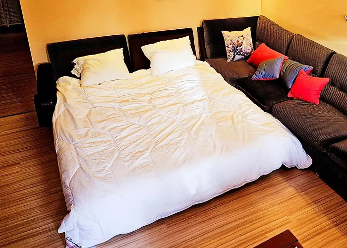 Apartament 6 Pers Aan Skilift Grootste Skigebied Nabij Bikepark Unieke Locatie Met Zeer Rustige Tuin In Het Bos En Het Gezellige Centrum Leuke Cafes Restaurants En Gratis Zwembad Sauna Relax Speelruimte Parkeerplaats Naast Der Brabander