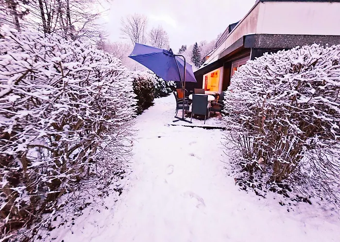 Apartament 6 Pers Aan Skilift Grootste Skigebied Nabij Bikepark Unieke Locatie Met Zeer Rustige Tuin In Het Bos En Het Gezellige Centrum Leuke Cafes Restaurants En Gratis Zwembad Sauna Relax Speelruimte Parkeerplaats Naast Der Brabander