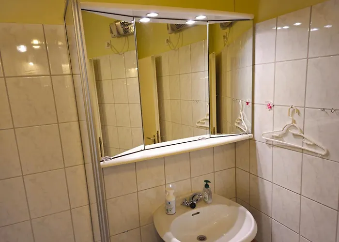 Lejlighed 6 Pers Aan Skilift Grootste Skigebied Nabij Bikepark Unieke Locatie Met Zeer Rustige Tuin In Het Bos En Het Gezellige Centrum Leuke Cafes Restaurants En Gratis Zwembad Sauna Relax Speelruimte Parkeerplaats Naast Der Brabander Winterberg