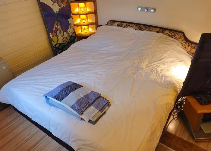 Lejlighed 6 Pers Aan Skilift Grootste Skigebied Nabij Bikepark Unieke Locatie Met Zeer Rustige Tuin In Het Bos En Het Gezellige Centrum Leuke Cafes Restaurants En Gratis Zwembad Sauna Relax Speelruimte Parkeerplaats Naast Der Brabander *